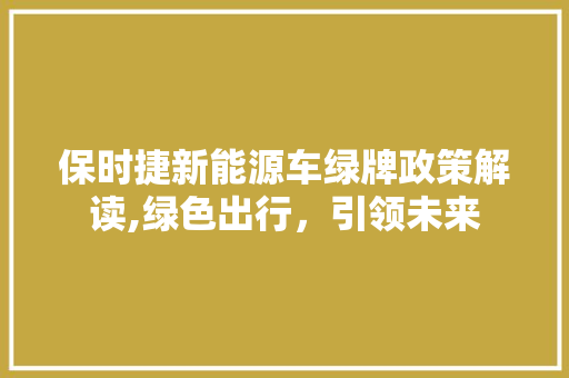 保时捷新能源车绿牌政策解读,绿色出行，引领未来