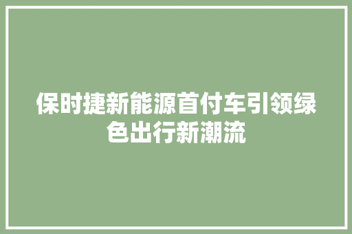 保时捷新能源首付车引领绿色出行新潮流
