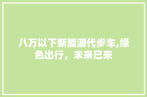 八万以下新能源代步车,绿色出行，未来已来