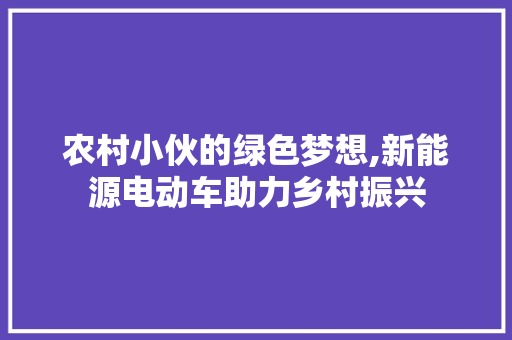 农村小伙的绿色梦想,新能源电动车助力乡村振兴