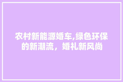 农村新能源婚车,绿色环保的新潮流，婚礼新风尚