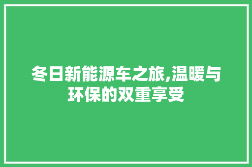 冬日新能源车之旅,温暖与环保的双重享受
