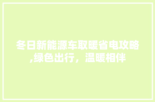 冬日新能源车取暖省电攻略,绿色出行，温暖相伴