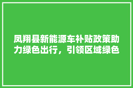 凤翔县新能源车补贴政策助力绿色出行，引领区域绿色发展新风尚