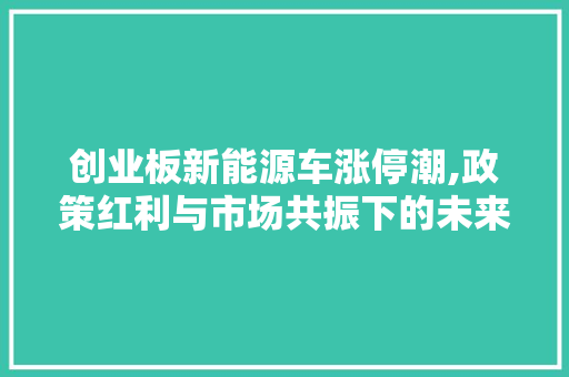 创业板新能源车涨停潮,政策红利与市场共振下的未来引擎