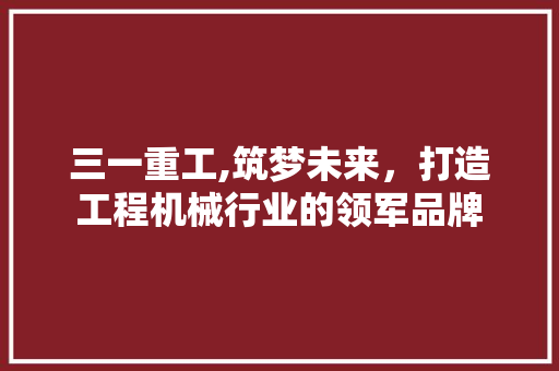 三一重工,筑梦未来，打造工程机械行业的领军品牌