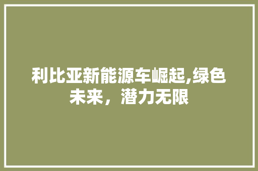 利比亚新能源车崛起,绿色未来，潜力无限