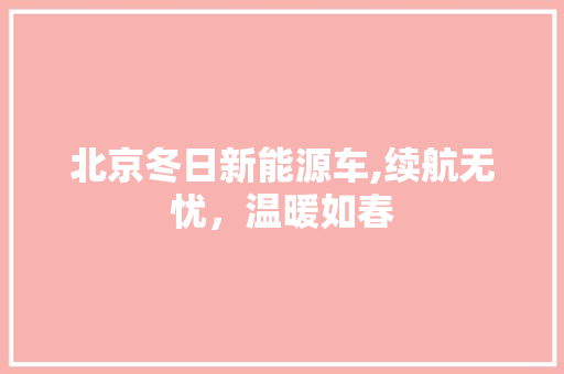 北京冬日新能源车,续航无忧，温暖如春
