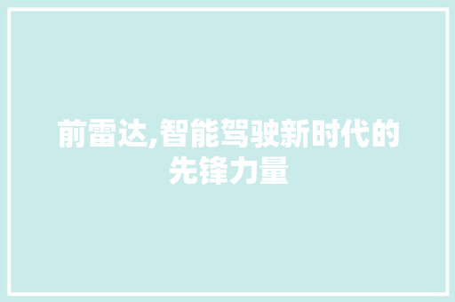 前雷达,智能驾驶新时代的先锋力量