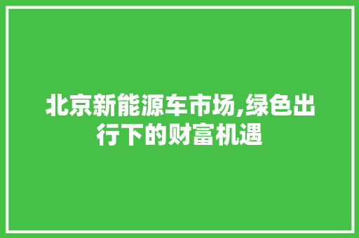 北京新能源车市场,绿色出行下的财富机遇