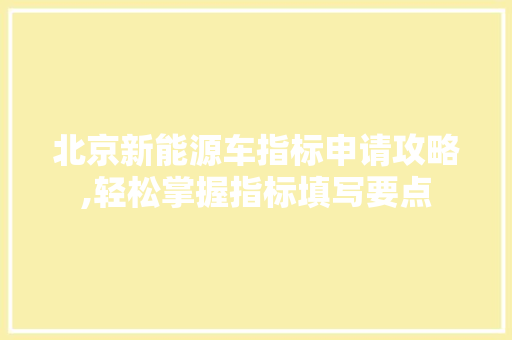 北京新能源车指标申请攻略,轻松掌握指标填写要点