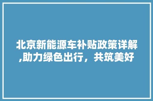 北京新能源车补贴政策详解,助力绿色出行，共筑美好未来