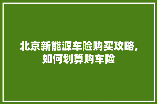北京新能源车险购买攻略,如何划算购车险