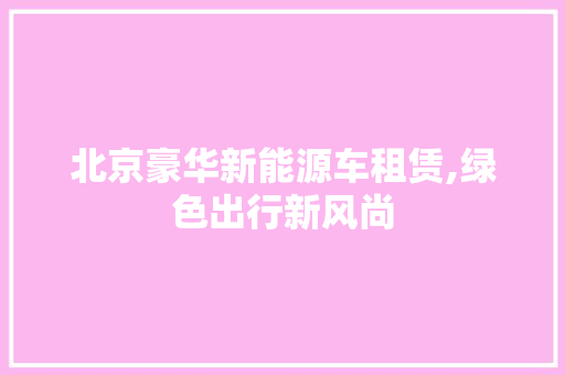 北京豪华新能源车租赁,绿色出行新风尚