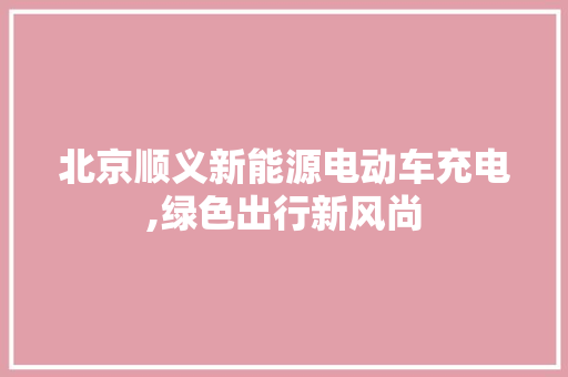 北京顺义新能源电动车充电,绿色出行新风尚