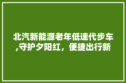 北汽新能源老年低速代步车,守护夕阳红，便捷出行新选择