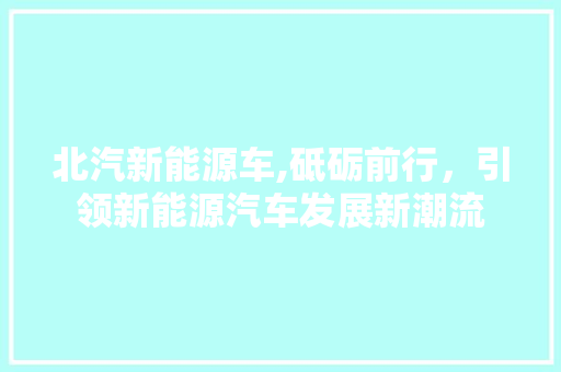 北汽新能源车,砥砺前行，引领新能源汽车发展新潮流