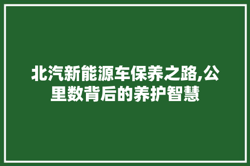 北汽新能源车保养之路,公里数背后的养护智慧
