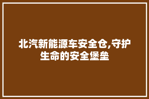 北汽新能源车安全仓,守护生命的安全堡垒