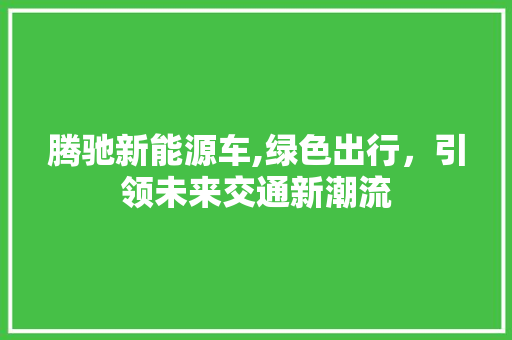 腾驰新能源车,绿色出行，引领未来交通新潮流