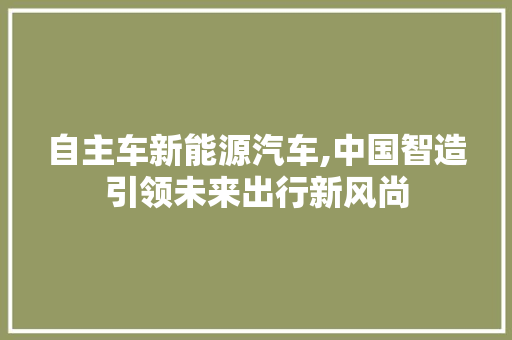 自主车新能源汽车,中国智造引领未来出行新风尚