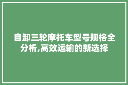 自卸三轮摩托车型号规格全分析,高效运输的新选择