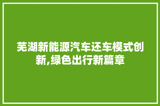 芜湖新能源汽车还车模式创新,绿色出行新篇章