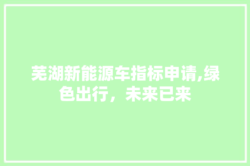 芜湖新能源车指标申请,绿色出行，未来已来