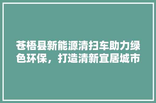 苍梧县新能源清扫车助力绿色环保，打造清新宜居城市