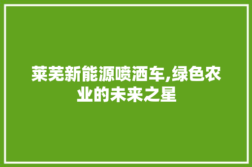 莱芜新能源喷洒车,绿色农业的未来之星