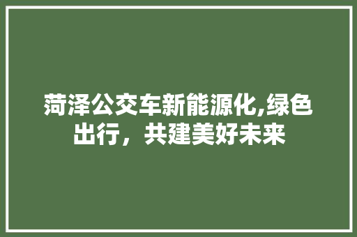 菏泽公交车新能源化,绿色出行，共建美好未来