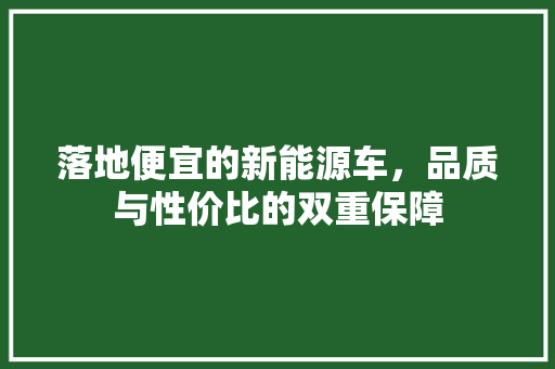 落地便宜的新能源车，品质与性价比的双重保障