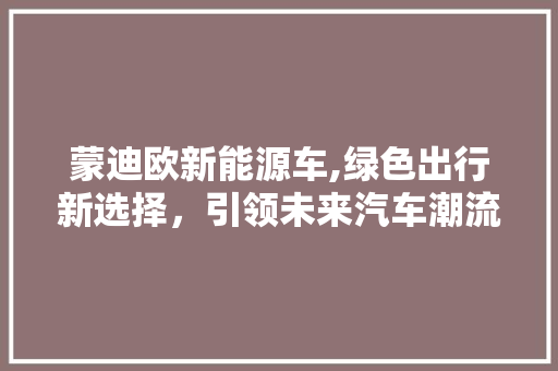 蒙迪欧新能源车,绿色出行新选择，引领未来汽车潮流