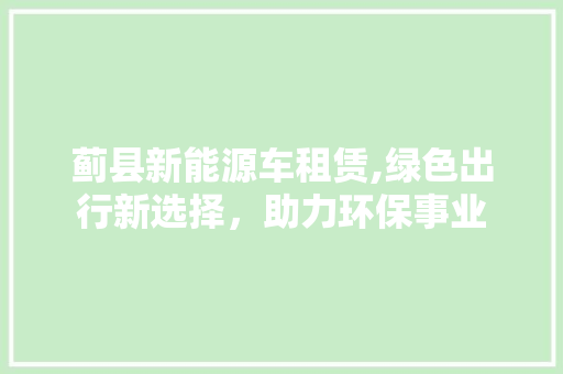 蓟县新能源车租赁,绿色出行新选择，助力环保事业