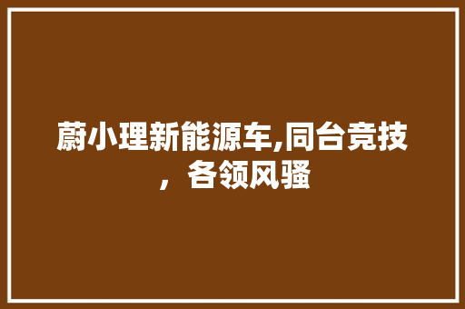 蔚小理新能源车,同台竞技，各领风骚