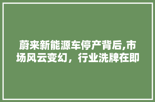 蔚来新能源车停产背后,市场风云变幻，行业洗牌在即