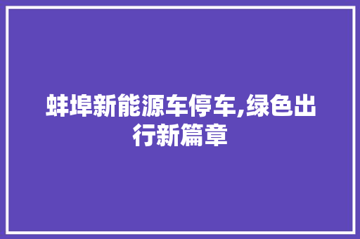 蚌埠新能源车停车,绿色出行新篇章