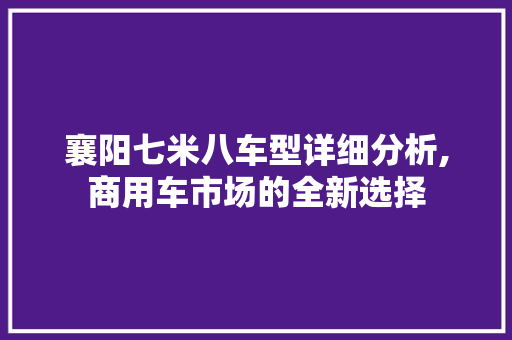 襄阳七米八车型详细分析,商用车市场的全新选择