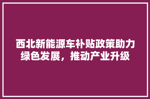 西北新能源车补贴政策助力绿色发展，推动产业升级