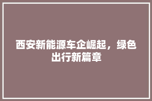 西安新能源车企崛起，绿色出行新篇章
