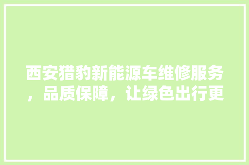 西安猎豹新能源车维修服务，品质保障，让绿色出行更安心