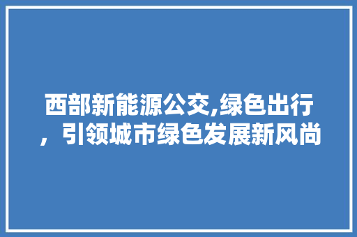 西部新能源公交,绿色出行，引领城市绿色发展新风尚