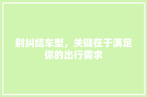 别纠结车型，关键在于满足你的出行需求