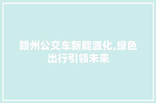 赣州公交车新能源化,绿色出行引领未来
