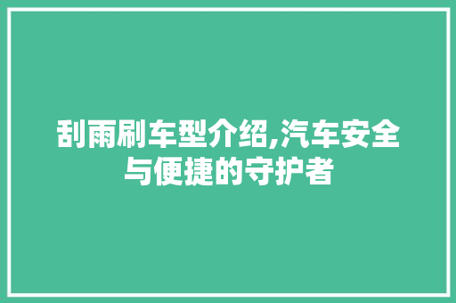 刮雨刷车型介绍,汽车安全与便捷的守护者