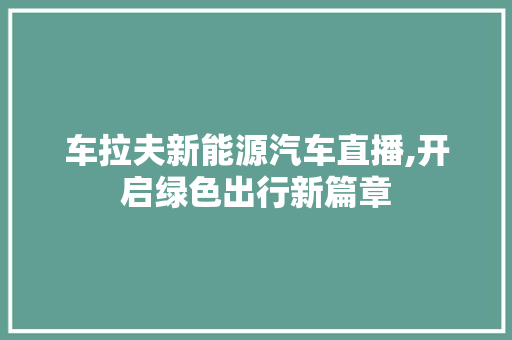 车拉夫新能源汽车直播,开启绿色出行新篇章 变速箱配件