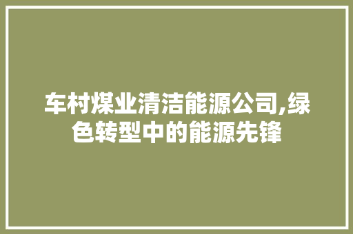 车村煤业清洁能源公司,绿色转型中的能源先锋