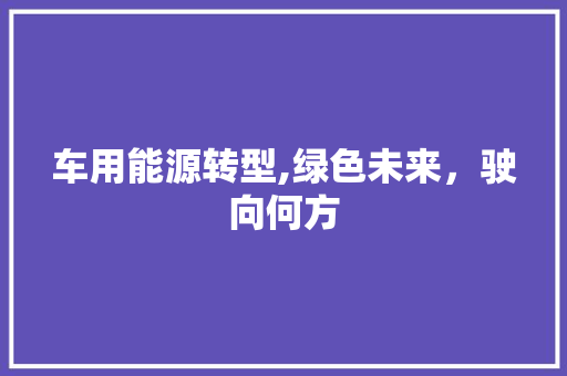 车用能源转型,绿色未来，驶向何方