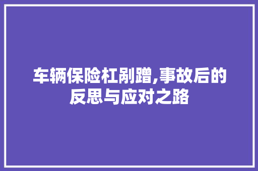 车辆保险杠剐蹭,事故后的反思与应对之路