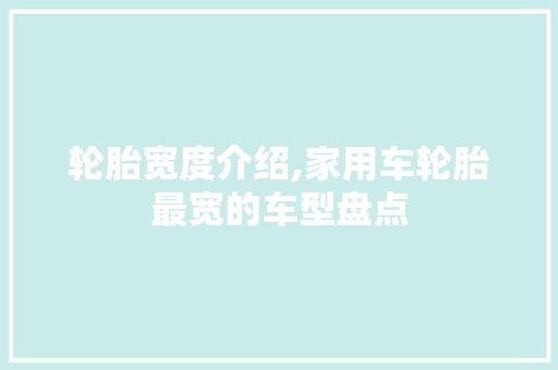 轮胎宽度介绍,家用车轮胎最宽的车型盘点